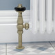 FAR-AG-OEB-LS04 - Faringdon Traditional Thermostatic Radiator Valve Old English Brass (Angled TRV) FAR-AG-OEB-LS04 - Faringdon Traditional Thermostatic Radiator Valve Old English Brass (Angled TRV)